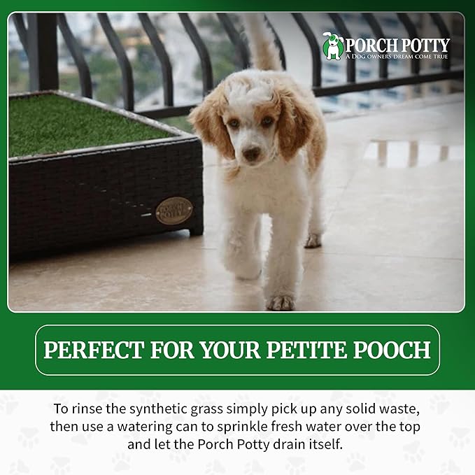 Porch Potty Artificial Grass Potty Pads for Dogs - Small Size 26x26x7 Reusable Potty Training Pad - Washable Pee Pads for Dogs - Unique Design - Instant Drainage -Quick Absorb - 2x2 Ft Grass Size