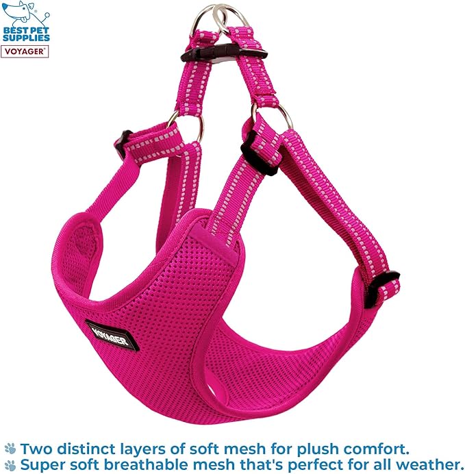 Best Pet Supplies Voyager Adjustable Dog Harness with Reflective Stripes for Walking, Jogging, Heavy-Duty Full Body No Pull Vest with Leash D-Ring, Breathable All-Weather - Harness (Fuchsia), L
