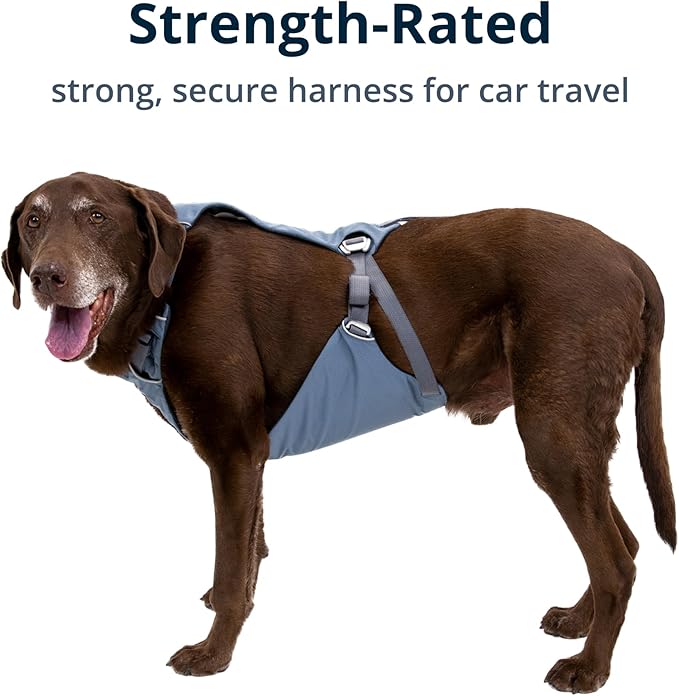 Ruffwear, Load Up Dog Harness, Strength-Rated Car Safety Harness with Universal Seat Belt Attachment, Slate Blue, Small