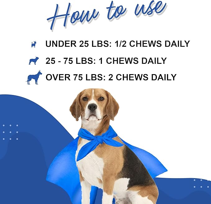 Premium Multivitamin for Dogs Daily Multi for Immune, Mood, Joint, Skin, Heart & Digestive Health - 21 in 1 Dog Multivitamins for Optimal Health Essential - 60 Multivitamin Dog Chews
