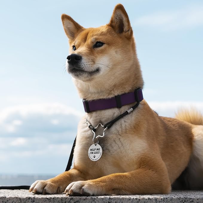 MYLUCKYTAG Stainless Steel QR Code Pet ID Tags Dog Tags - Pet Online Profile - Scan QR Receive Instant Pet Location Alert Email