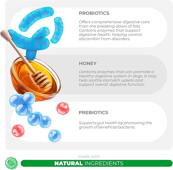 Probiotics for Dogs - 90 Soft Chews - Diarrhea & Gas Support for Dogs - with Honey, Pumpkin and Prebiotics for Dog Allergies, Bad Dog Breath & Constipation Support (Soft Chews)