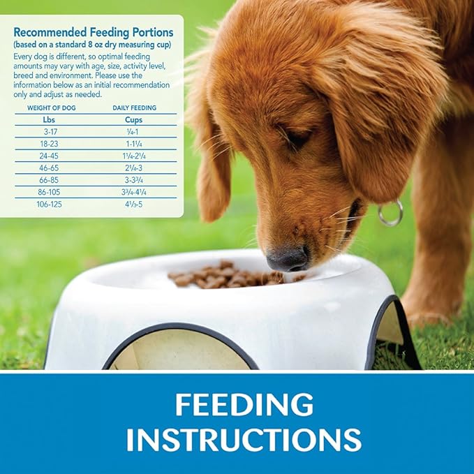 Wellness Natural Pet Food Simple Natural Limited-Ingredient Grain-Free Dry Dog Food, Easy to Digest for Sensitive Stomachs, Supports Skin & Coat (Small Breed, Salmon and Potato, 10.5-Pound Bag)