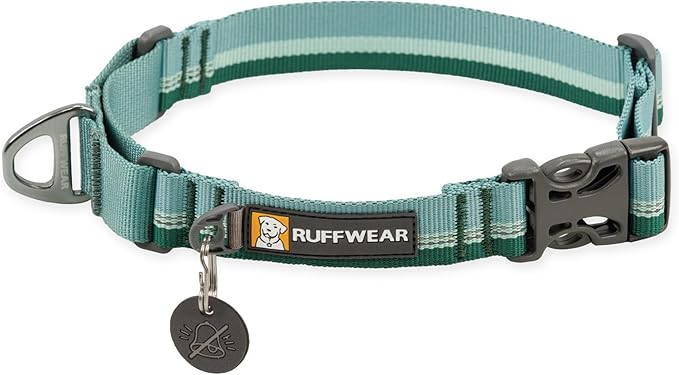 Ruffwear, Web Reaction Dog Collar, Martingale Collar for On-Leash Walking, River Rock Green, 23"-26"