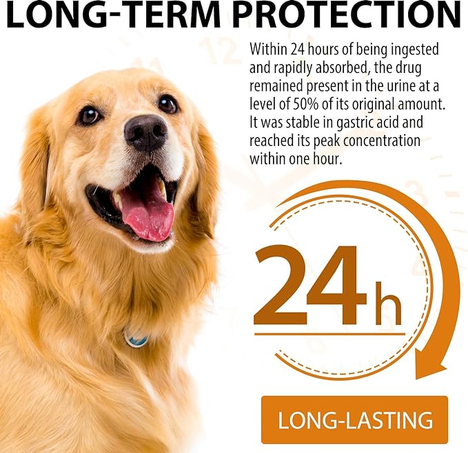 Quercetin for Dogs, Dog Quercetin with Vitamin C Supports Dogs Allergy Relief, Support Balanced Immune System, Pet Supplement Quercetin for Dog Allergies, Bacon Flavor - 1 Pack 60ml / 2.02oz