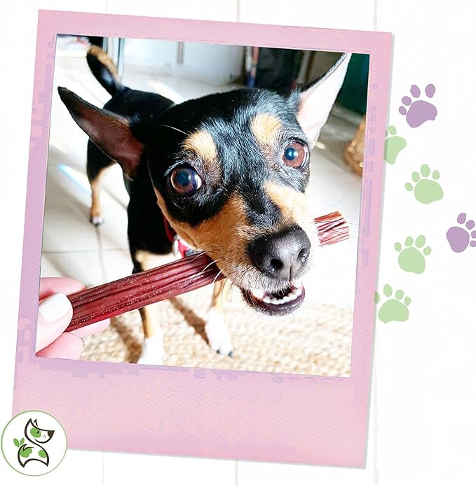 Nature Gnaws - Beef Jerky Sticks for Dogs - Premium Natural Beef Gullet Bones - Simple Single Ingredient Tasty Dog Chew Treats - Rawhide Free 5-6 Inch (1Lb)