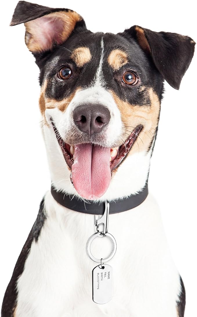 JOVITEC 3 Sets Dog Tag Clip Dog ID Tag with Rings Holder for Dogs and Cats Collars Harnesses