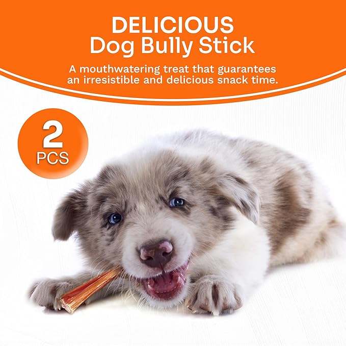 Premium Odor-Free Bully Sticks for Dogs - 2 pcs Beef Flavored Natural Dog Chews & Treats
