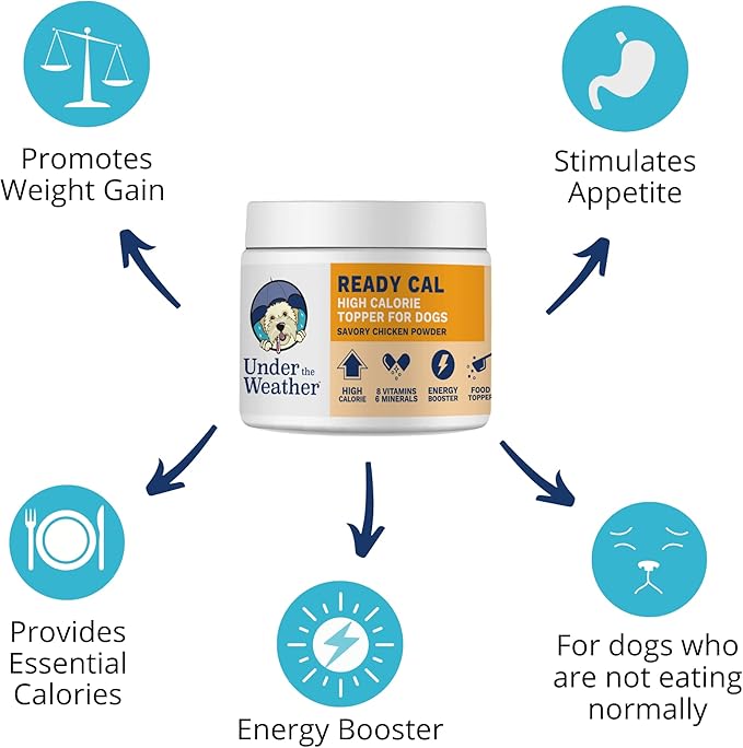 Under the Weather Ready Cal Powder for Dogs | High-Calorie, Weight Gainer, Appetite Stimulant, Energy Booster Pet Supplement | 12 Ounces