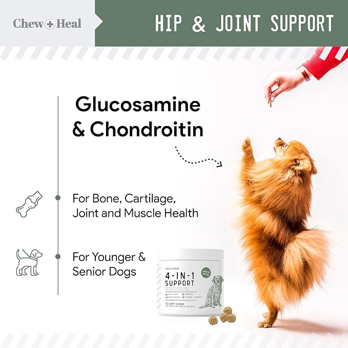 Chew + Heal All in 1 Dog Vitamin, 2PK - 240 Soft Chew Treats - Chewable Multivitamin with Probiotics, Digestive Enzymes, for Skin and Coat, Hip and Joint Support - Made in The USA