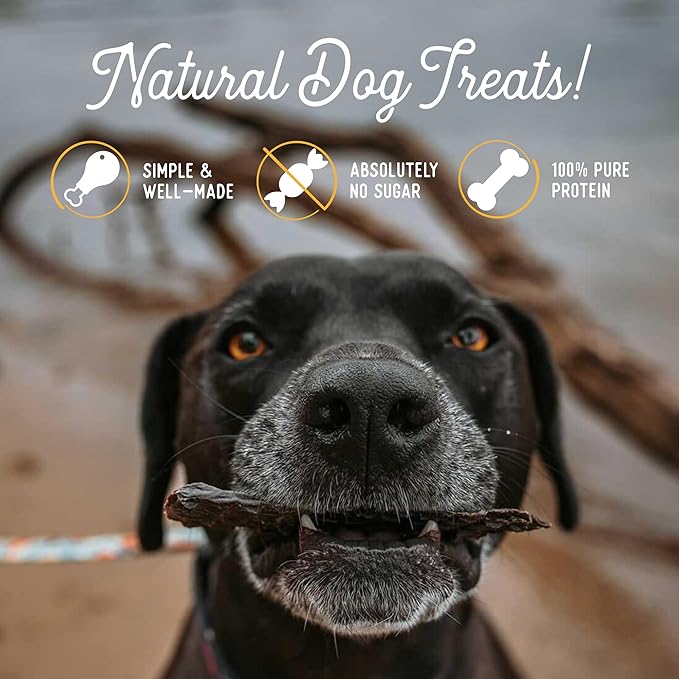 Beg & Barker Beef Liver Jerky for Dogs (10 Ounce, Pack of 1) - Dog Training Treats - Natural Dog Treats Made in The USA - Grain Free, Diabetic-Friendly, High Protein, Sugar-Free