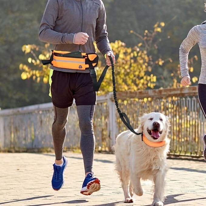Hands Free Dog Leash with Pouch, 2 in 1 Retractable Dual Handle Bungee Waist Leash Rope for Small and Large Dogs, Adjustable Length Belt Suitable for Running, Walking, Jogging, Hiking, Training