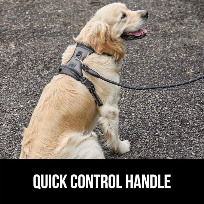 Gorilla Grip Comfortable Durable Dog Harness with Handle, Pet Leash Clips on Chest or Back for Walking, Padded Mesh Pets Vest, Adjustable Reflective Straps, Puppy Training, Gray