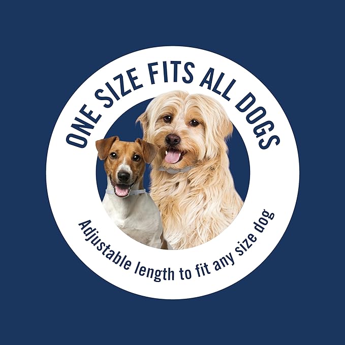 PetArmor Plus Flea & Tick Collar for Dogs, Kills Fleas & Ticks, Long Lasting Protection for 6 Months, Water Resistant, One Size Fits All, 1 Collar