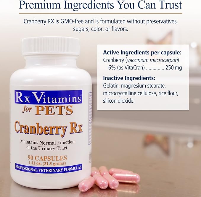 Rx Vitamins Cranberry Pills for Dogs - Cat Urinary Tract Medicine Support - UTI Treatment for Pets - Dog & Cat Urinary Relief Aid - 90 Cap.