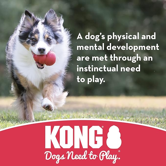 KONG Puppy Ball w/Hole - Soft & Durable Activity Ball for Puppies - Dog Toy Supports Healthy Exercise & Interactive Play - Dog Toy for Natural Teething - for Small Puppies - Assorted Colors