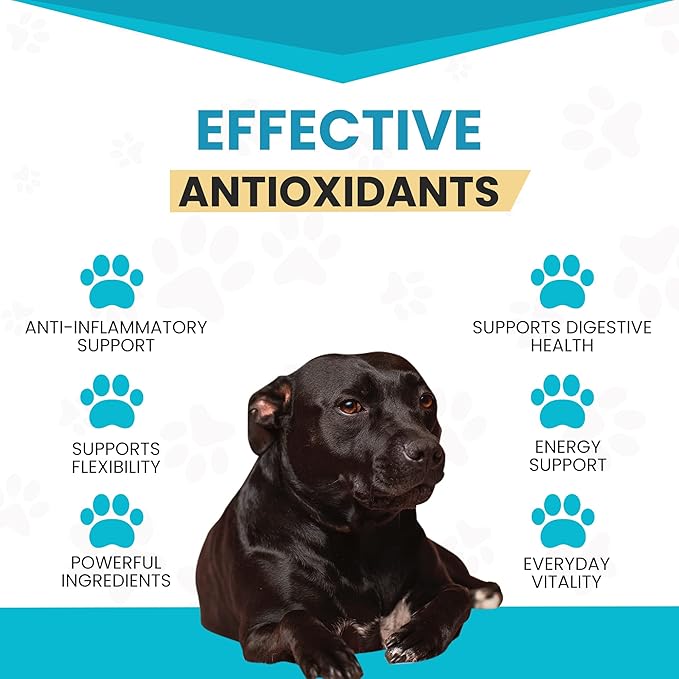 Wanderfound Pets 10-in-1 Dog Multivitamin, Chewable Dog Vitamins with Glucosamine, D3, and MSM, Dog Health Supplies for Immune System and Joint Health, Liver Flavor, 60 Tablets