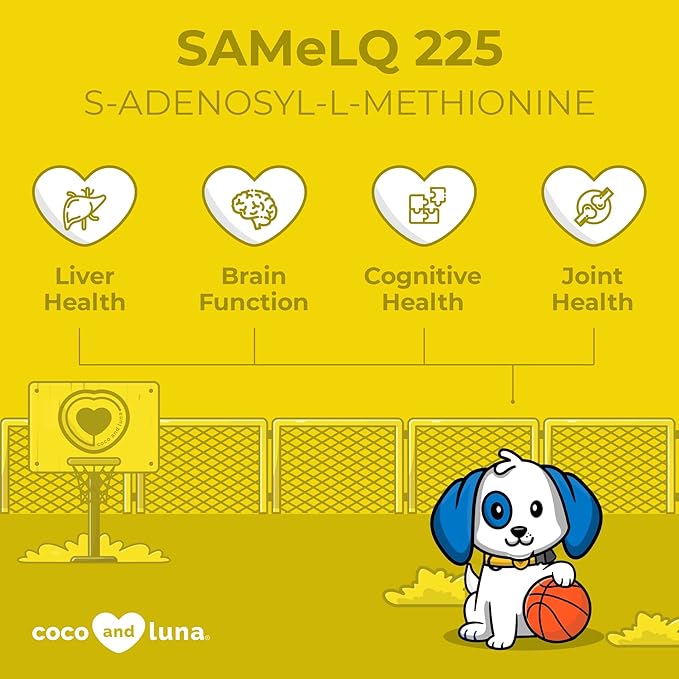 SAMe for Dogs - S-Adenosyl-L-Methionine, Liver Supplements for Dogs - Brain Supplement for Dogs, Promotes Cognitive Support, Liver Support Supplement