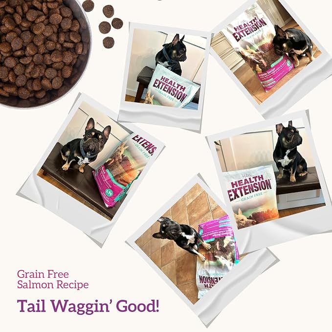 Health Extension Dry Dog Food, Natural Food with added Vitamins & Minerals, Suitable for All Puppies, Grain Free, Salmon & Sweet Potato Recipe with Whole Vegetable & Berries (1 Pound)
