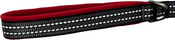 Franklin Pet Supply Nylon Dog Leash – Reflective – Comfort Fit – Neoprene Handle – 6 Foot – Dog Training – Walking – Red