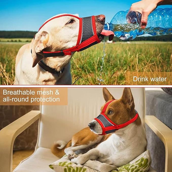New Dog Muzzle, Breathable Drinkable Mesh Muzzle for Dogs,Anti Biting Barking Chewing,Grooming Muzzle for Dog with Anti-Drop Adjustable Anti-Drop &Shiny Reflective Strap in Night (Red, S)