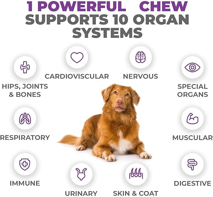 Mighty Petz MAX Dog Multivitamin - Senior & Adult Dog Vitamins 10 in 1 Complete Support for Joints, Immunity, Mobility, Gut, Energy, Skin Health. Daily Pet Chewable Supplement