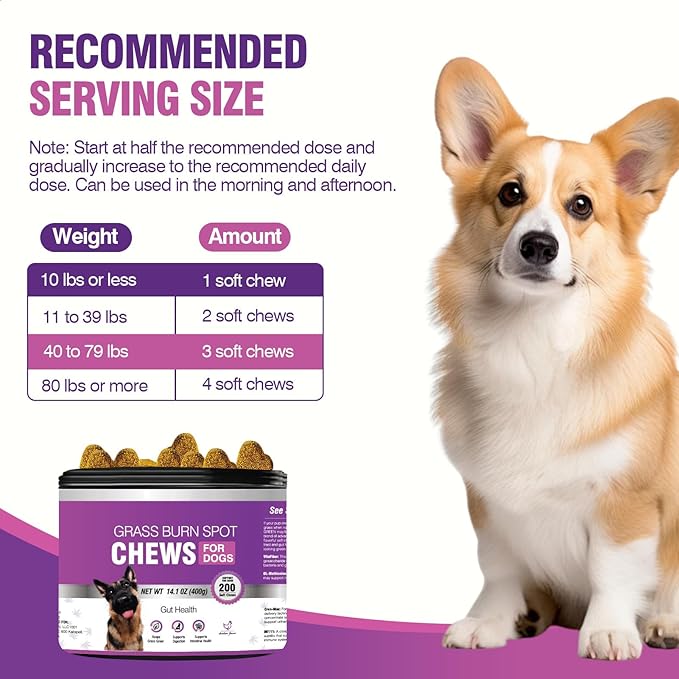 Grass Burn Spot Chews for Dogs Dog Pee Grass Neutralizer 200 Green Grass Dog Chews Dog Pee Lawn Spot Saver for Grass Burn Spots Dog Urine Neutralizer for Lawns with Probiotics Digestive Enzymes