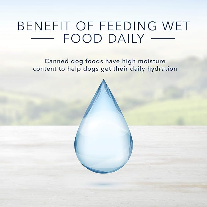 Blue Buffalo Homestyle Recipe Natural Adult Healthy Weight Wet Dog Food, Chicken 12.5-oz can (Pack of 12)