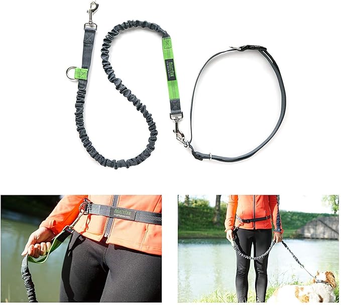 Mighty Paw Hands Free Dog Leash | Bungee Waist Leash for Dog Walking. Dog Running Leash Hands Free. Hands Free Leash for Large Dogs, Medium & Small Dogs. Dog Leash Waist Belt (36" - 48") Up To 150 lbs