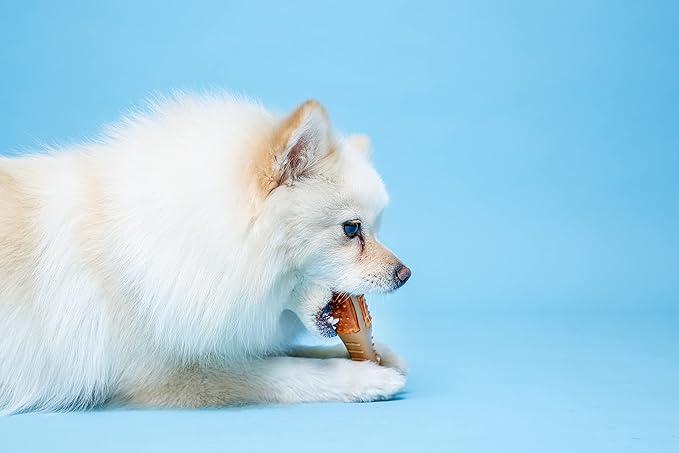 Hartz Chew ‘n Clean Chew Toy and Treat in One Chicken Flavored Drumstick Dog Toy, Small (Pack of 2)