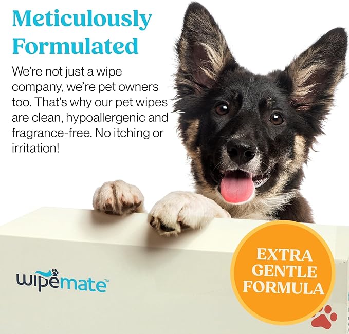 2-Pack Dog & Cat Pet Wipes, Cleans Pet Paws, Ears, Fur, Butt, & Anal Gland, No-Rinse Solution, Gentle, Deodorizing, Hypoallergenic - Unscented 100 ct