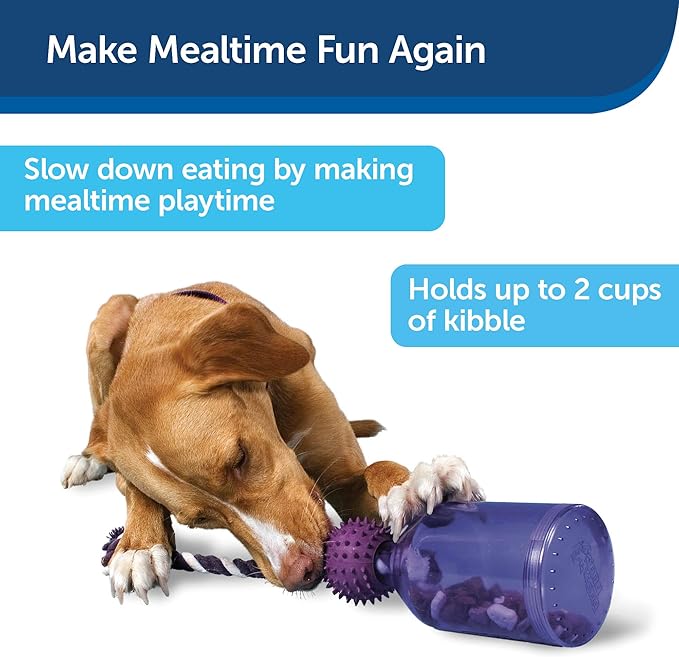 PetSafe Busy Buddy Tug-A-Jug Dog Toy – Slow Feeder and Trainer – Small