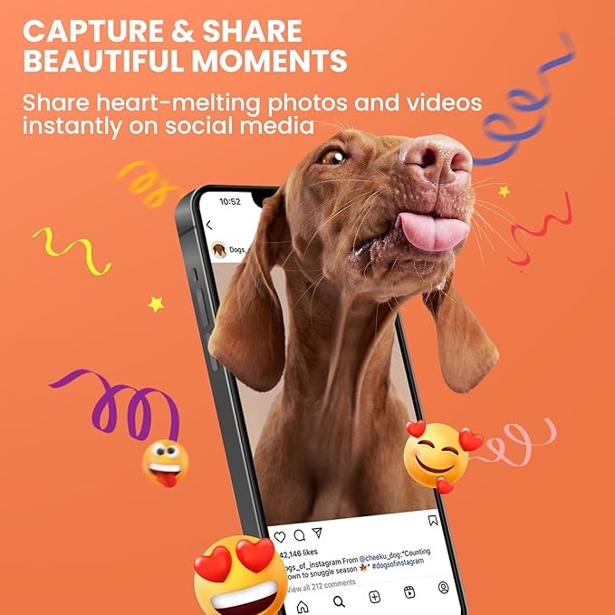 DOG CARE Pet Camera Treat Dispenser with Dog Button, 360° View Smart Dog Camera with Motion Tracking, Barking Alert, Night Vision, 5G WiFi Pan/Tilt Dog Security Camera for Dogs Cats
