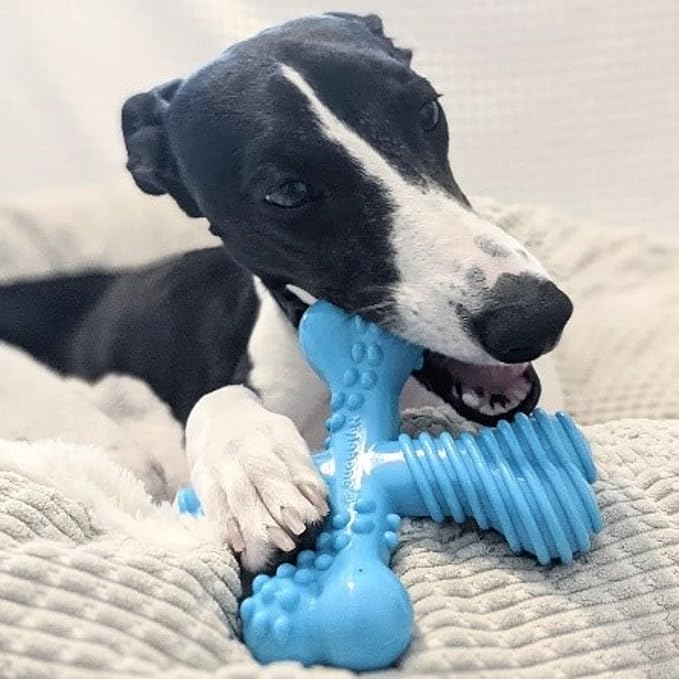 Nylabon Power Chew Comfort Hold X Bone Chew Toy for Dogs, Beef Flavor, Large - Up to 50 lbs. (1 Count)