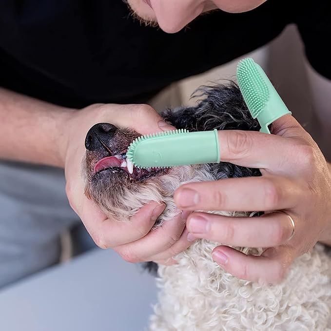 10 Pack Dog Finger Toothbrush Dog Teeth Cleaning Brush 2-Finger Dog Tooth Brushing Kit Dog Cat Toothbrush with Bristles Puppy Dental Care Toothbrush for Small Medium Dog Cat Pet