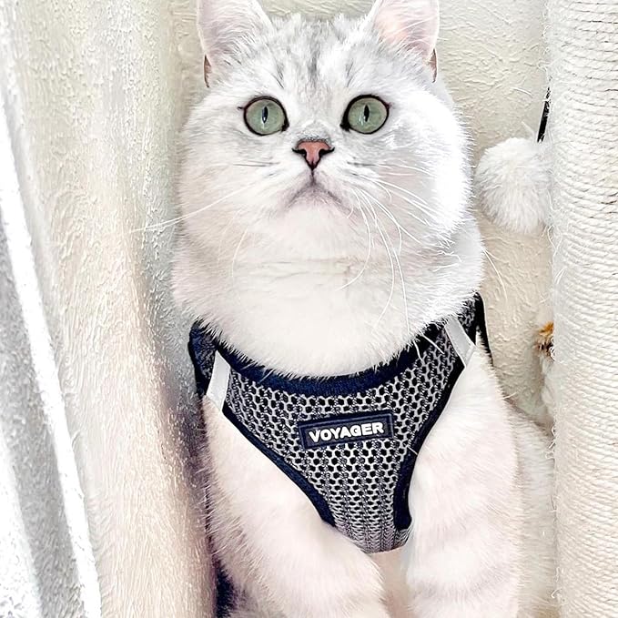 Voyager Step-in Air Dog Harness - All Weather Mesh Step in Vest Harness for Small and Medium Dogs by Best Pet Supplies - Gray (2-Tone), XS