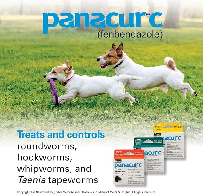 Panacur C Canine Dewormer (Fenbendazole), 4 Gram, 3 Count (Pack of 1), Red