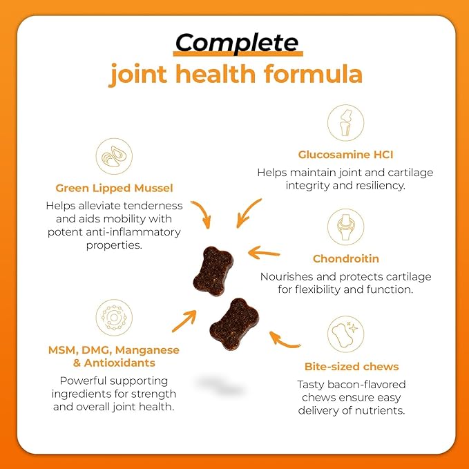 VetriScience GlycoFlex Plus Hip and Joint Supplement for Dogs – Extra-Strength Joint Support Chews with Green Lipped Mussel, Chondroitin, and Glucosamine for Dogs