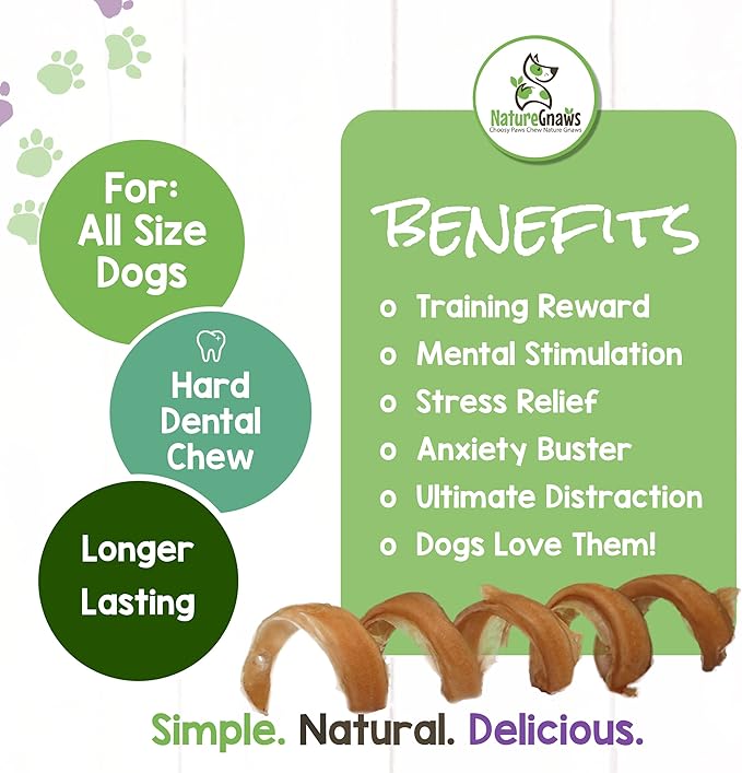 Nature Gnaws Bully Stick Springs for Dogs - Premium Natural Beef Dental Bones - Long Lasting Curly Dog Chew Treats for Aggressive Chewers - Rawhide Free 6 Count (Pack of 1)