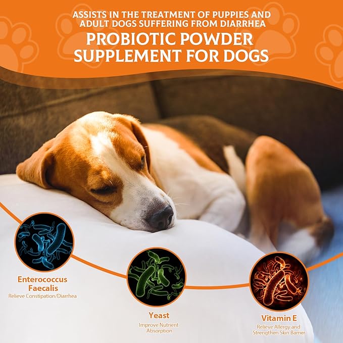 Probiotics for Dogs - Probiotic Powder for Dogs, Dog Probiotics for Immune and Digestive Health -120 Scoops Liver Flavored Probiotic supplement