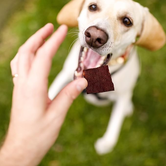 Turkey Jerky Dog Treats 15 Oz Real Turkey Jerky Chews Healthy Dog Treats - Natural Dog Treats Ideal for Training & Snacking - A Must-Have Soft Dog Treats for Small Dogs & Large Dogs!