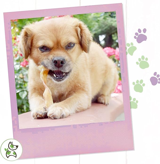 Nature Gnaws Mixed Beef Tendons & Paddywack for Dogs - Premium Natural Beef Dental Bones - Long Lasting Tasty Dog Chew Treats - Puppy Training Reward