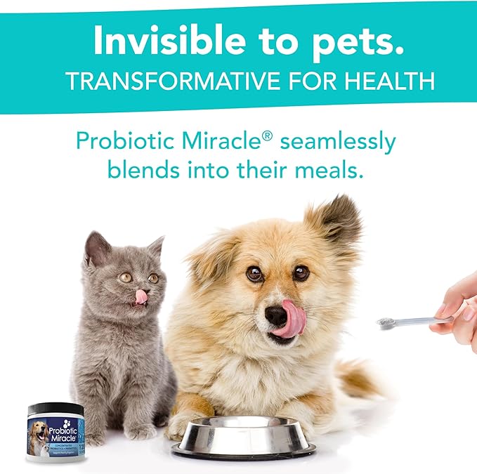 Probiotics for Cats & Dogs : Probiotic Miracle : Bowel & Gut Support : Digestive Health : Stop Diarrhea, Loose Stool