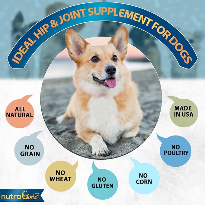 Grain Free Hip & Joint Supplement for Dogs with Organic Hemp Oil, Glucosamine Chondroitin, Turmeric, MSM, Green Lipped Mussel for Arthritis, Pain Relief, Mobility All Natural - 120 Chews