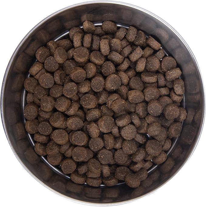 Health Extension Dry Dog Food, Natural Food for All Puppies & Dogs with added Vitamins & Mineral, Lamb & Brown Rice Recipe (4 Lb / 1.8 Kg)