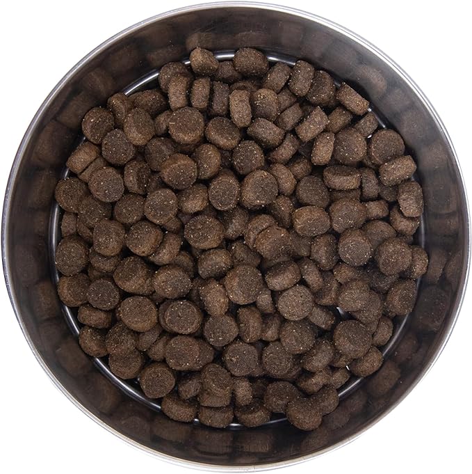 Health Extension Dry Dog Food, Natural Food for All Puppies & Dogs with Added Vitamins & Mineral, Lamb & Brown Rice Recipe (1 Lb / 0.4 Kg)