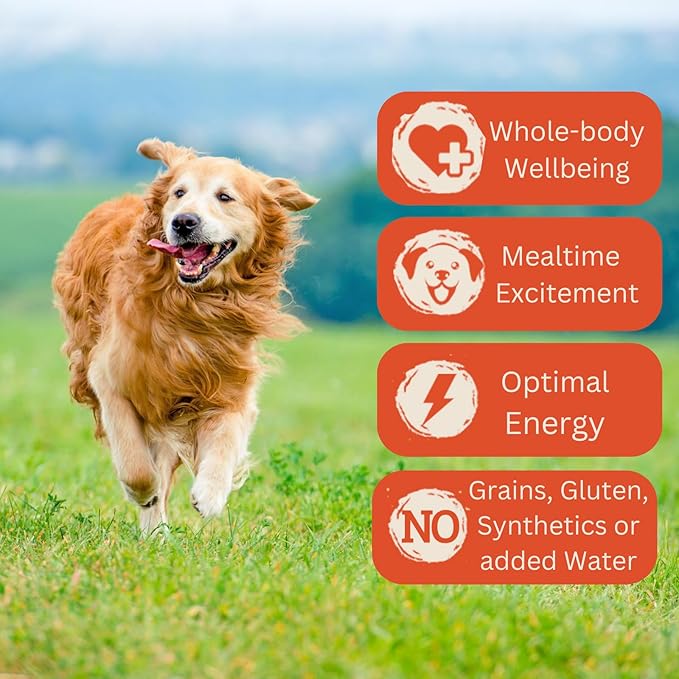 100% Beef Wet Dog Food, in Bone-Broth, Hypoallergenic Dog Food, All-Natural Mixer, Topper & Hydration - 11oz. (12 cans)