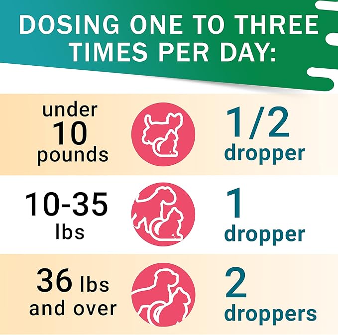 Liver Support Supplement for Dogs & Cats - Milk Thistle Liver Support - Canine Hepatic Care - Cat & Dog Liver Cleanse - Max Effect Liquid Drops