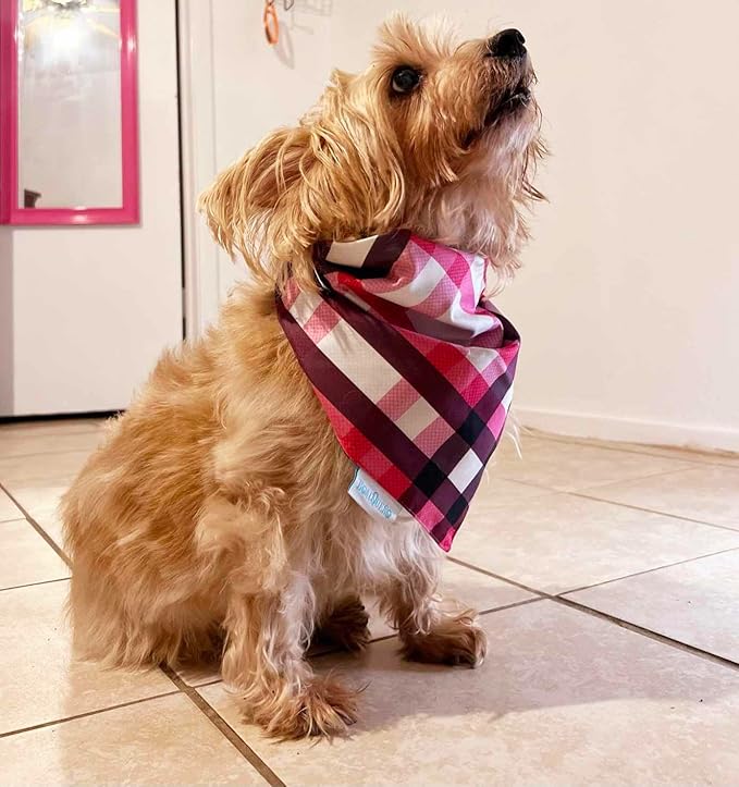 Golden Rewards Premium Dog Treats Jerky 32oz w/B0ACQUEÑ0 (M) Reversible Dog Bandana (32oz, duck)