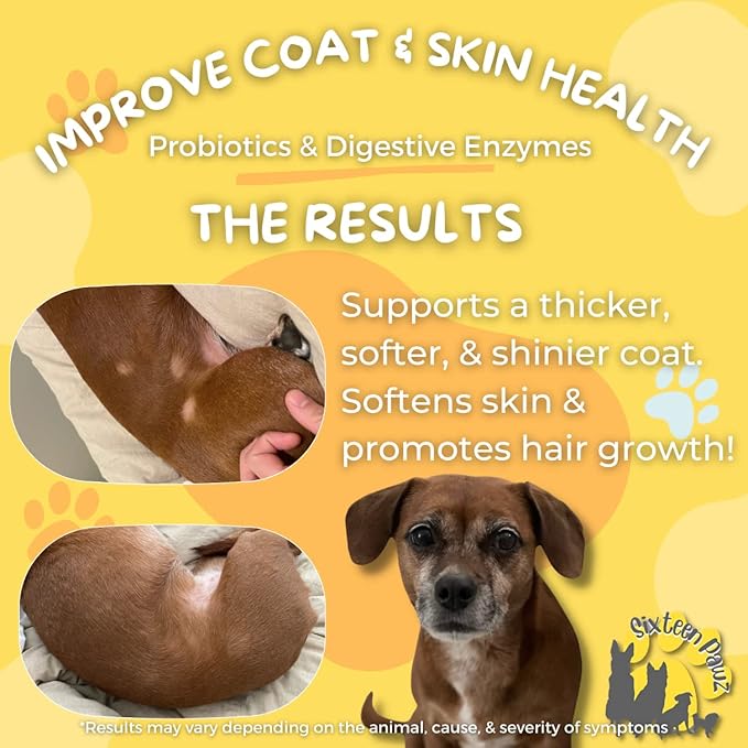 Probiotics, Prebiotics, & Digestive Enzymes for Dogs| Limited Ingredients| Digestive Support |Allergy Relief |Immune Support| Reduces Inflammation| Diarrhea & Gas Relief